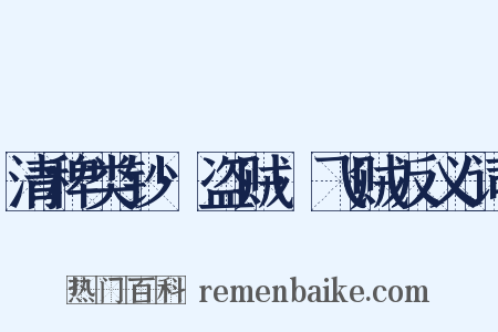 清稗类钞·盗贼·飞贼反义词是什么意思的图片